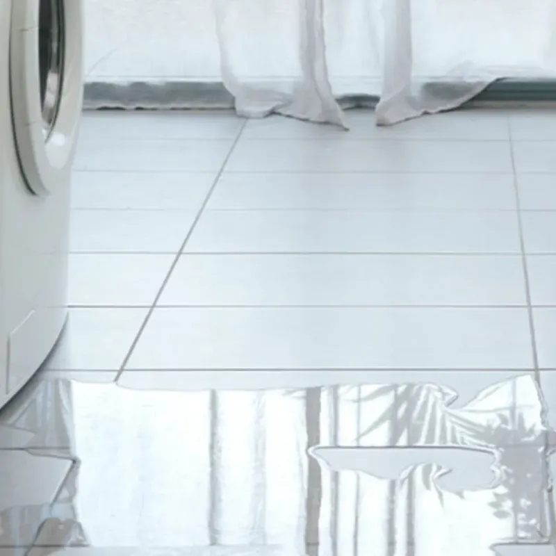 Appliance Leak Cleanup in Jayton, TX
