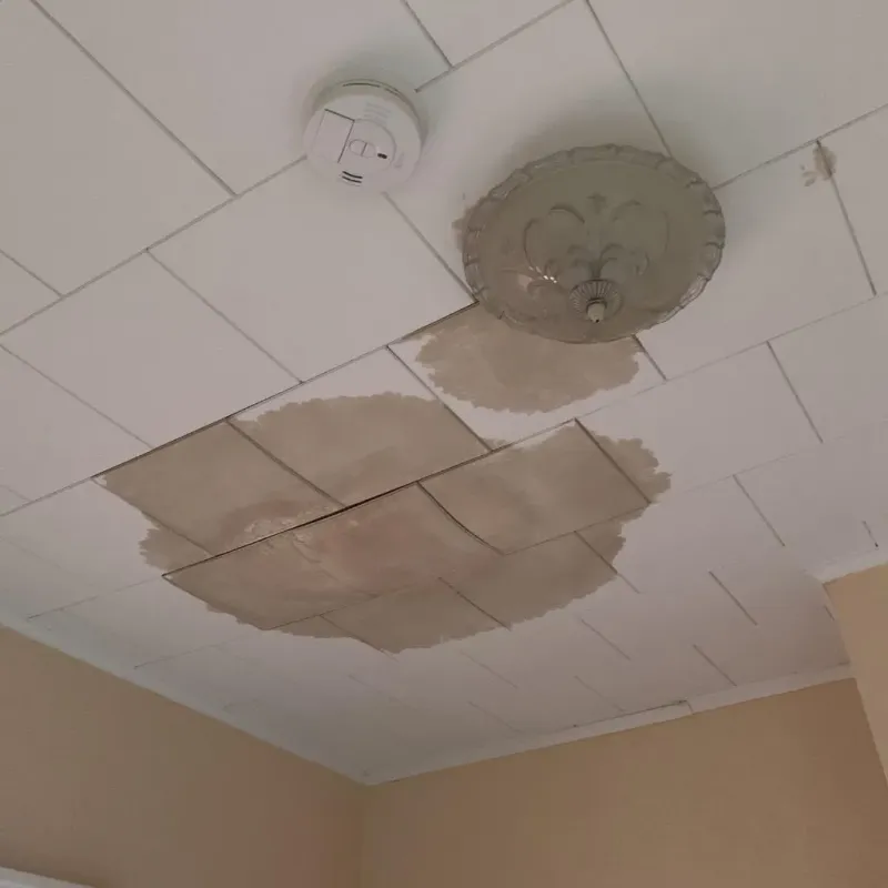 Ceiling Water Damage Repair in Jayton, TX