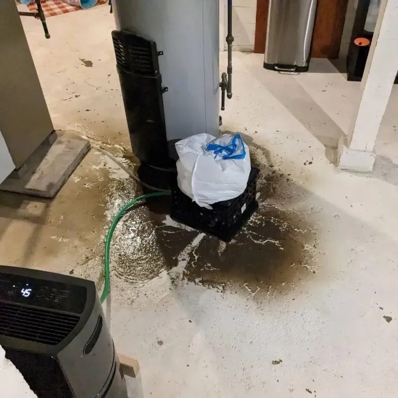 Sewage Backup Cleanup Service in Jayton, TX